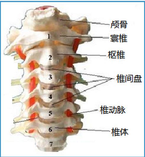 15分鐘迅速緩解2.jpg